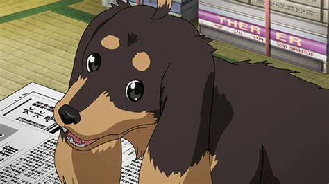 anime hund|anime dogs list.